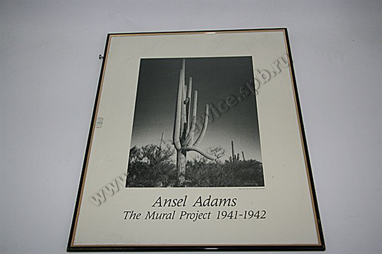     40*50 ' Ansel Adams'    