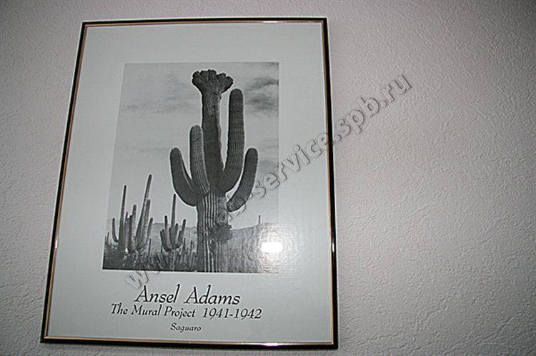     40*50 ' Ansel Adams'   